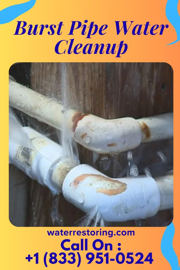 Burst Pipe Water Cleanup in Lewis Run, PA