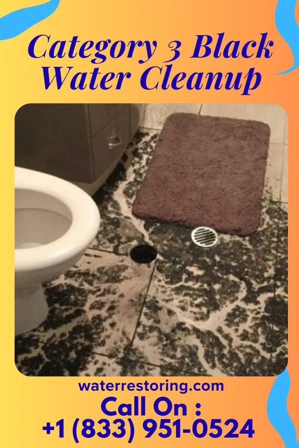 Category 3 Black Water Cleanup in Lewis Run, PA