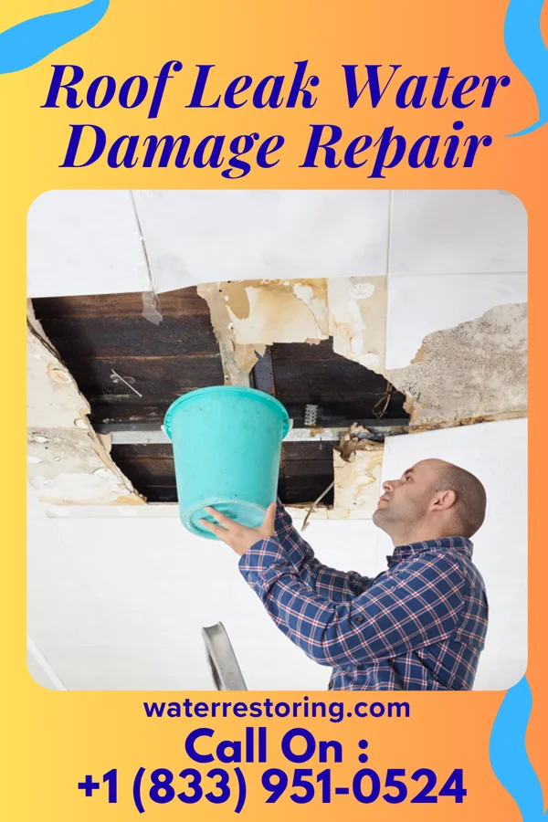 Roof Leak Water Damage Repair in Lewis Run, PA