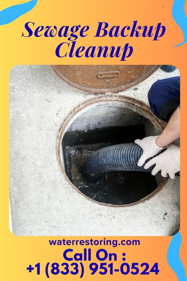 Sewage Backup Cleanup in Lewis Run, PA