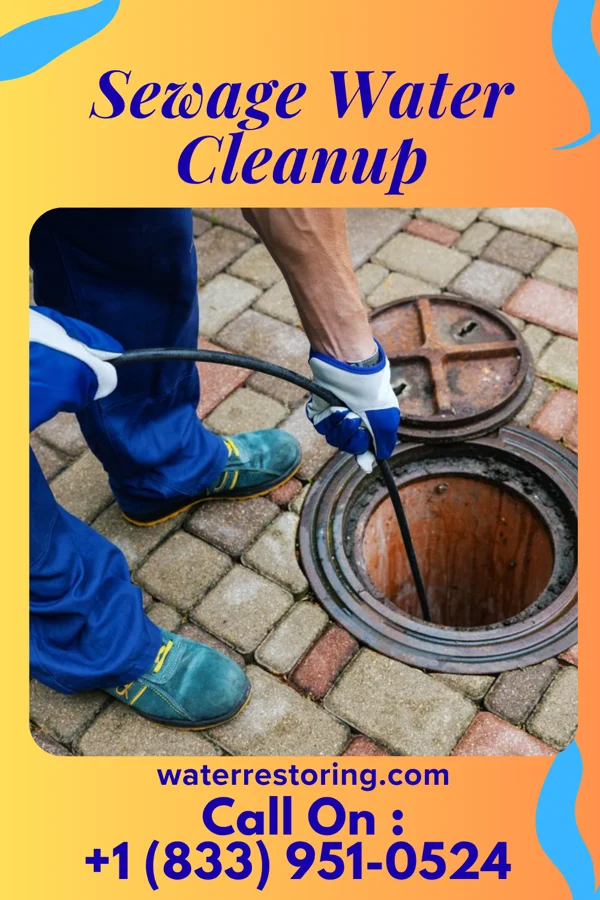 Sewage Water Cleanup in Lewis Run, PA