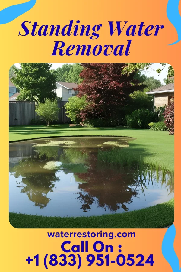 Standing Water Removal in Lewis Run, PA